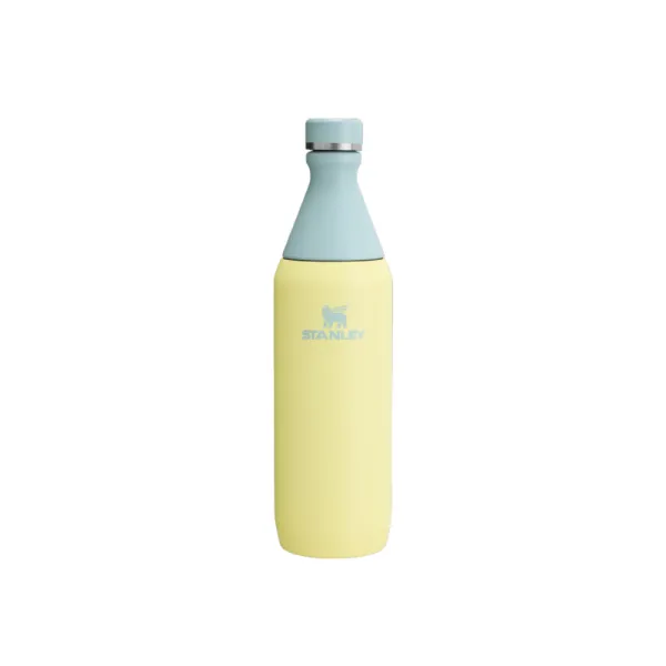 Botella Stanley Slim Bottle 590 ML