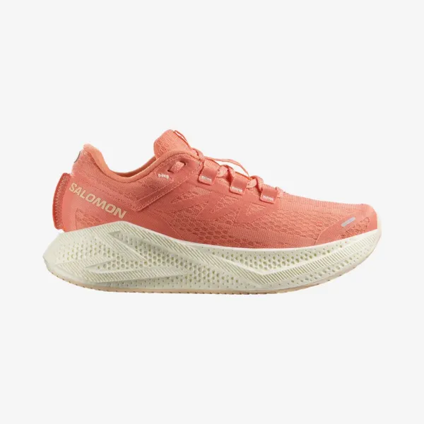 Zapatilla de Mujer Salomon Aero Glide 3